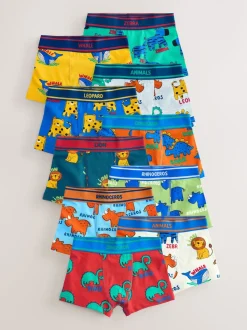 Animaux primaires - Lot de 10 boxers (1.5-16ans)