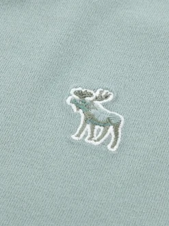 Bleu - Lot de 5 t-shirts Abercrombie & Fitch à manches courtes