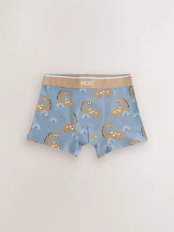 Dino bleu/marron - Lot de 5 boxers (1.5-12ans)