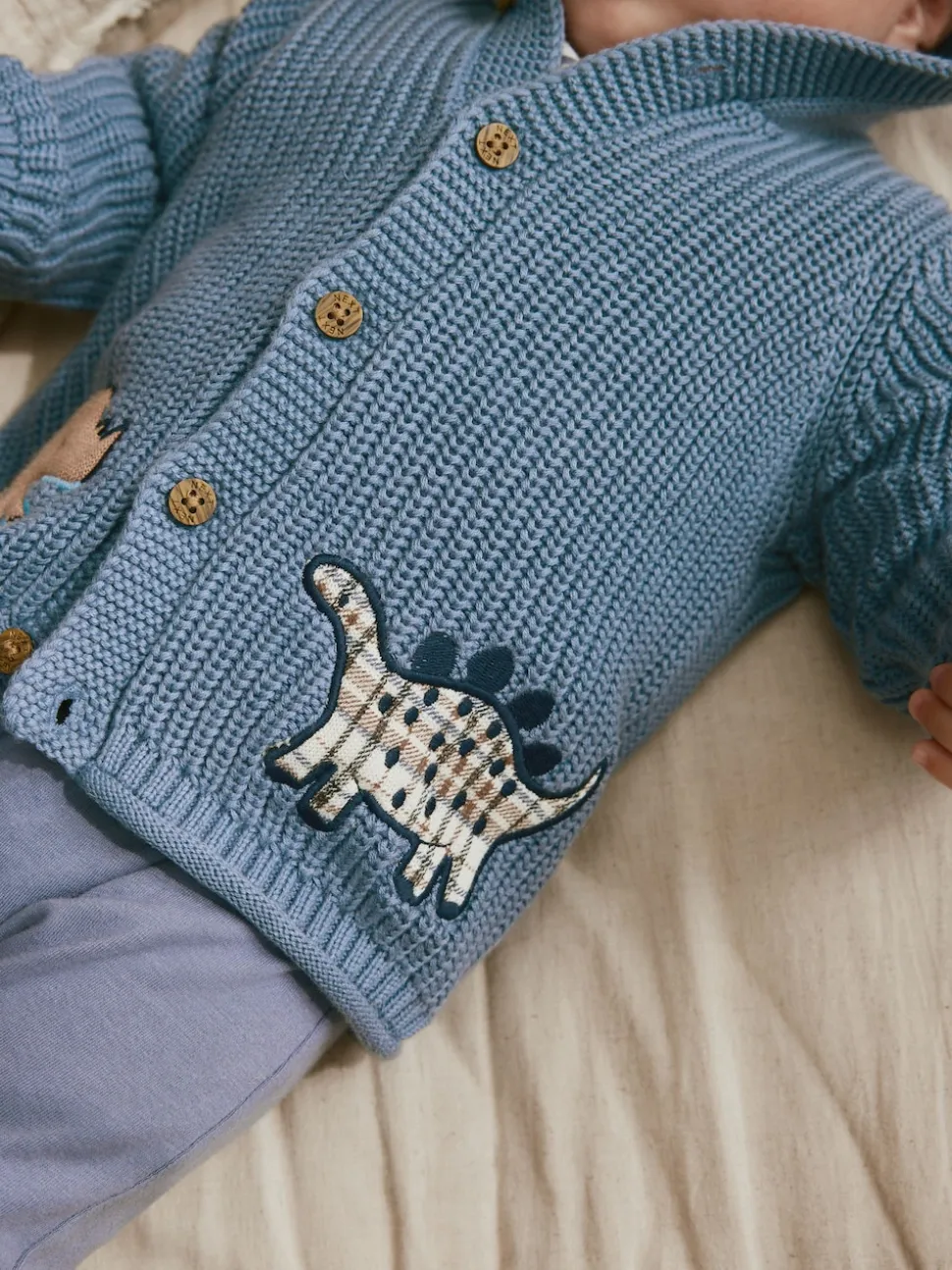 Imprimé dinosaures bleu marine brodé - Cardigan à capuche en maille bébé (0 mois-2 ans)