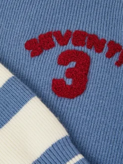 Monsoon Pull en maille rayé brodé