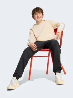 neutre - Sweat-shirt à capuche adidas Essentials enfant