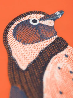 Orange - Haut brodé Frugi Adventure