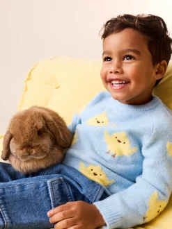 Poussin bleu - Pull col rond en maille (3mois-7ans)