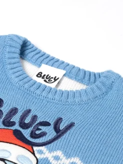 Pull de Noël Vanilla Underground Bluey