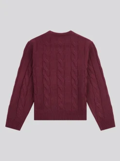 Violet - U.S. Polo Assn. Pull col rond garçons en maille torsadée